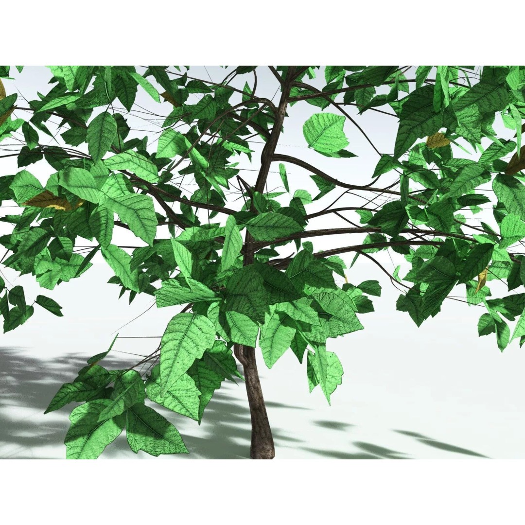 Western Poison Oak 3D Model – Low Poly Game Asset, FBX, PBR Textures - View 3