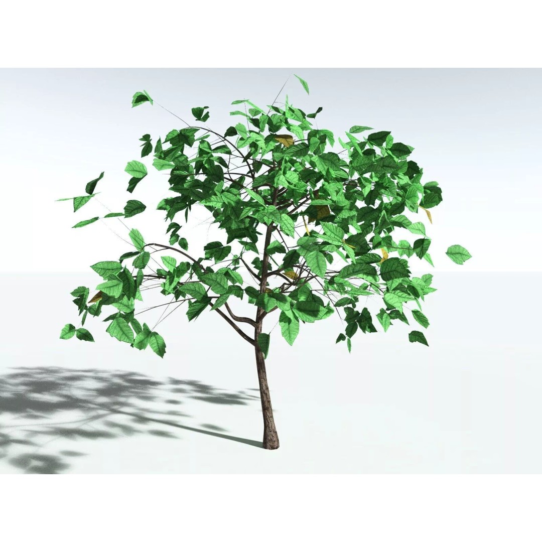 Western Poison Oak 3D Model – Low Poly Game Asset, FBX, PBR Textures - View 30