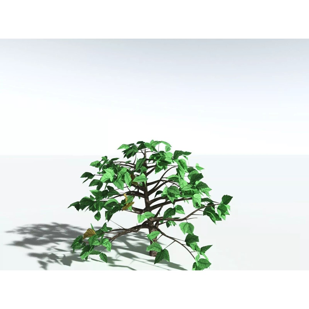 Western Poison Oak 3D Model – Low Poly Game Asset, FBX, PBR Textures - View 31