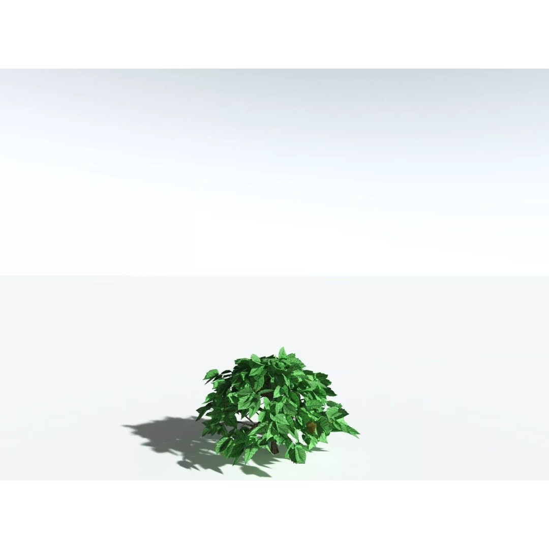 Western Poison Oak 3D Model – Low Poly Game Asset, FBX, PBR Textures - View 33