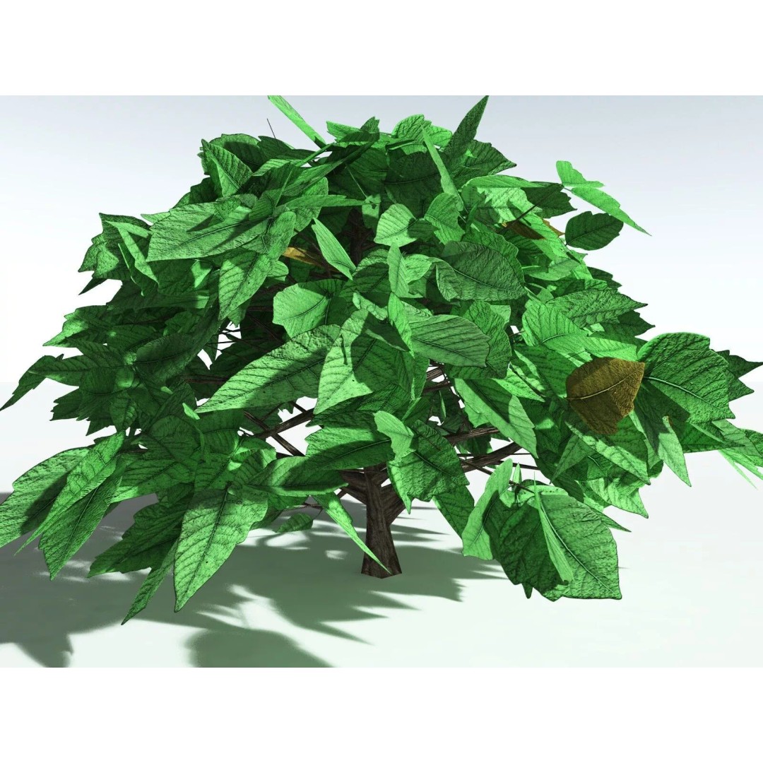 Western Poison Oak 3D Model – Low Poly Game Asset, FBX, PBR Textures - View 34