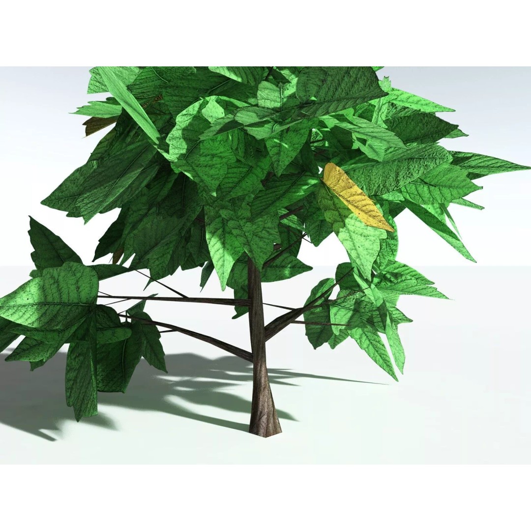 Western Poison Oak 3D Model – Low Poly Game Asset, FBX, PBR Textures - View 36