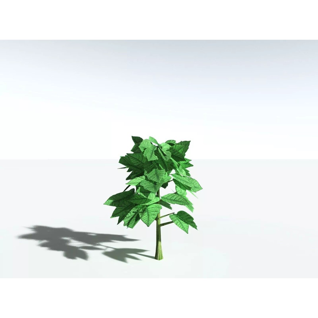 Western Poison Oak 3D Model – Low Poly Game Asset, FBX, PBR Textures - View 38