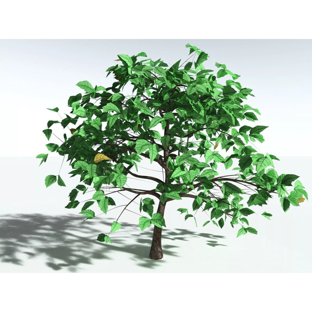 Western Poison Oak 3D Model – Low Poly Game Asset, FBX, PBR Textures - View 4