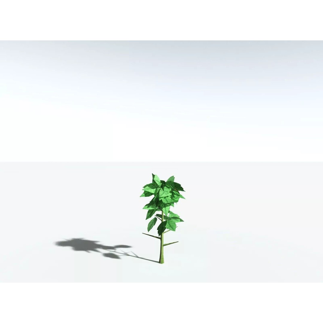 Western Poison Oak 3D Model – Low Poly Game Asset, FBX, PBR Textures - View 40