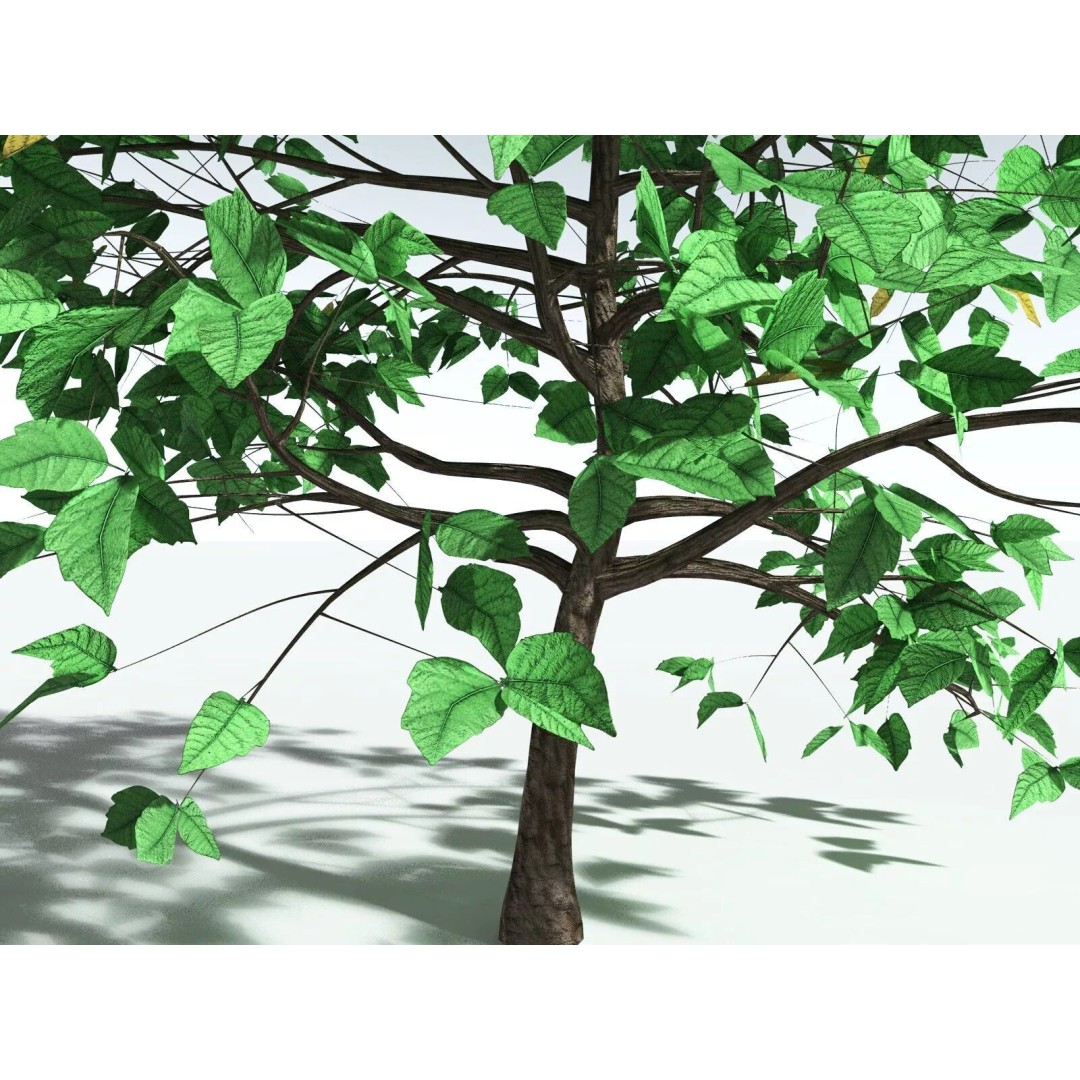 Western Poison Oak 3D Model – Low Poly Game Asset, FBX, PBR Textures - View 5