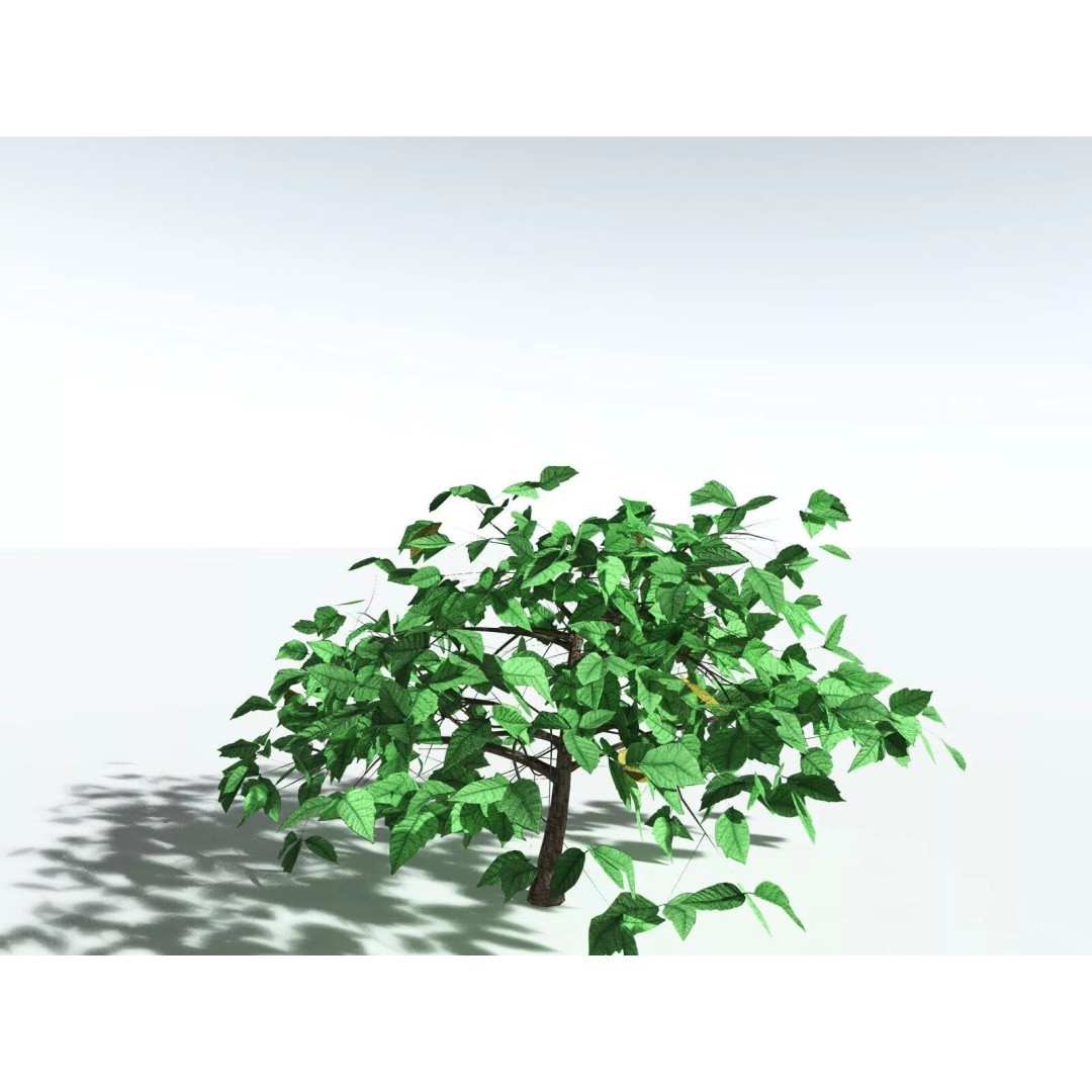 Western Poison Oak 3D Model – Low Poly Game Asset, FBX, PBR Textures - View 6