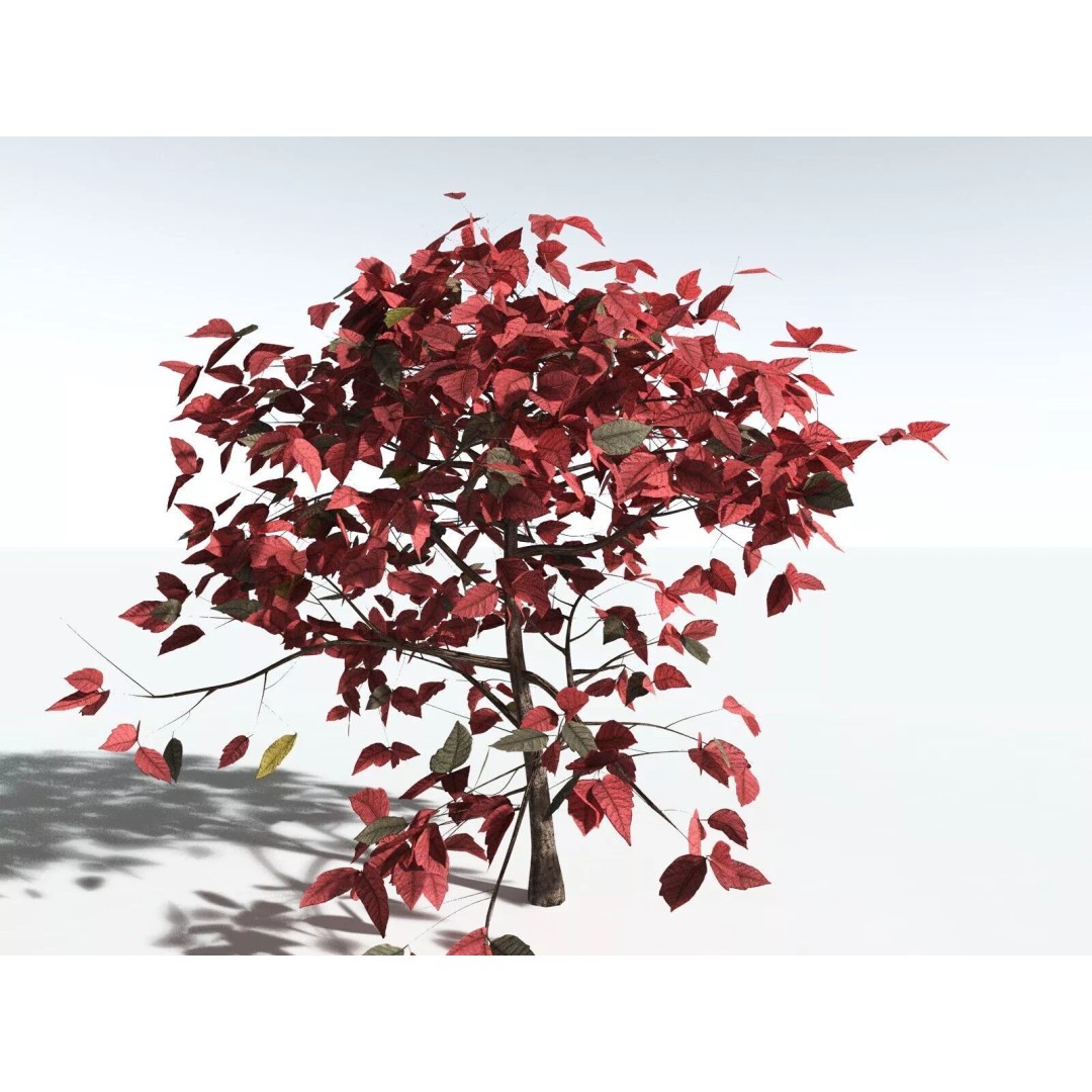 Western Poison Oak 3D Model – Low Poly Game Asset, FBX, PBR Textures - View 8