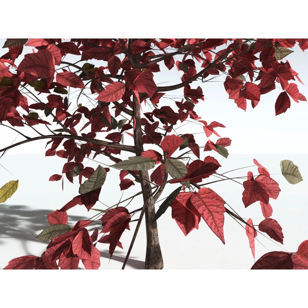 Western Poison Oak 3D Model – Low Poly Game Asset, FBX, PBR Textures - View 9