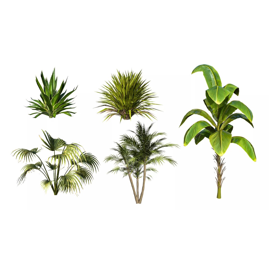 Tropical Plant 3D Model – Low Poly Game Asset, FBX & OBJ Formats - View 2