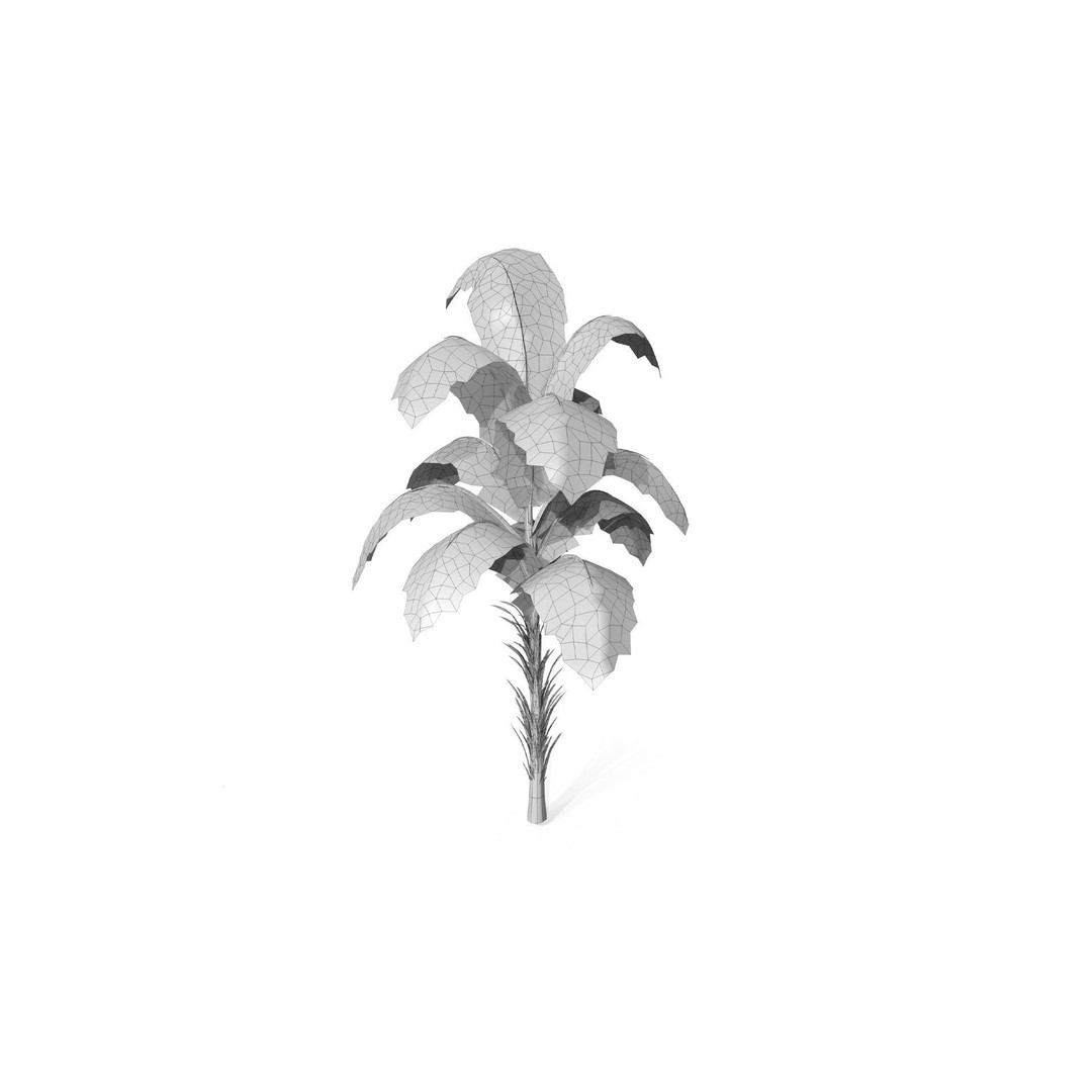 Tropical Plant 3D Model – Low Poly Game Asset, FBX & OBJ Formats - View 6