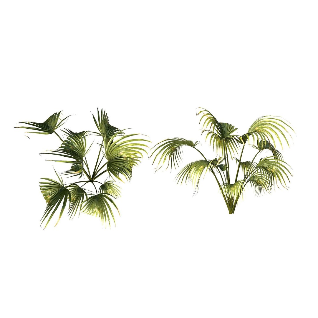 Tropical Plant 3D Model – Low Poly Game Asset, FBX & OBJ Formats - View 7