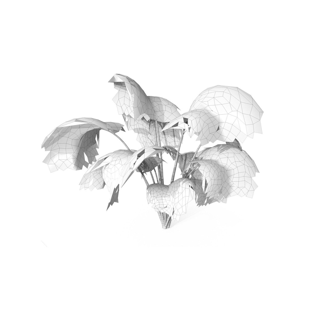 Tropical Plant 3D Model – Low Poly Game Asset, FBX & OBJ Formats - View 8