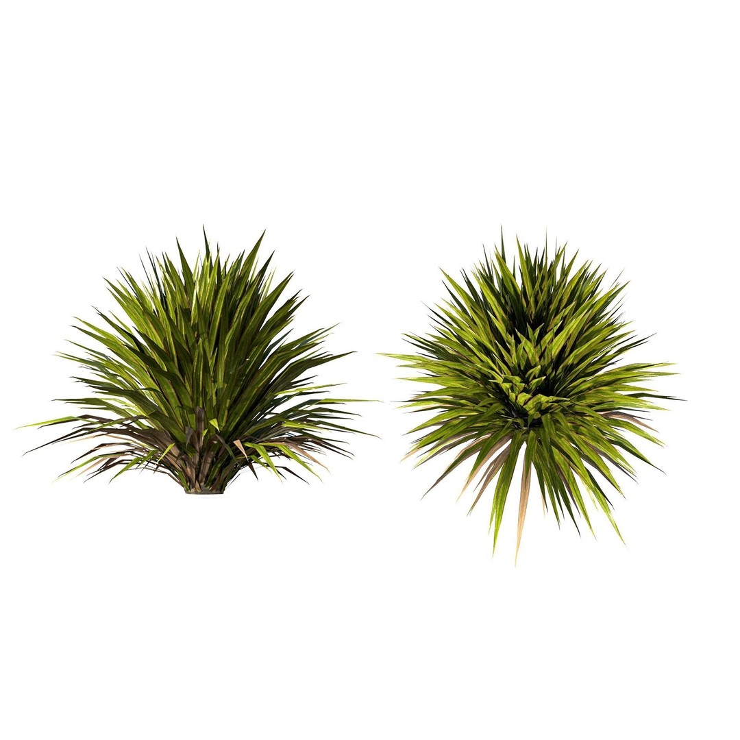 Tropical Plant 3D Model – Low Poly Game Asset, FBX & OBJ Formats - View 9