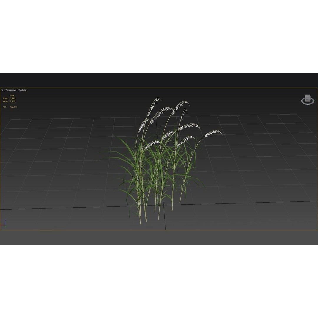 Grasses 3D Model – Low Poly Optimized Asset for Games, FBX - View 10