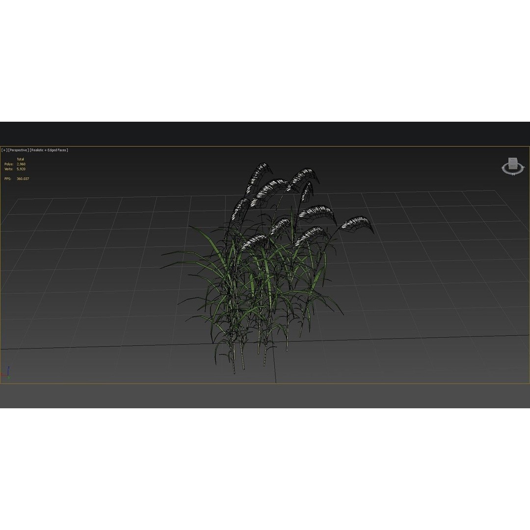 Grasses 3D Model – Low Poly Optimized Asset for Games, FBX - View 11