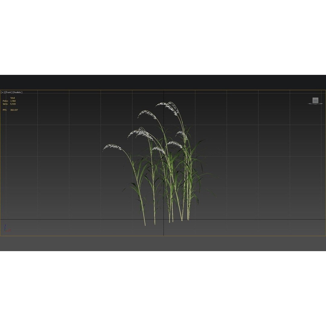 Grasses 3D Model – Low Poly Optimized Asset for Games, FBX - View 12