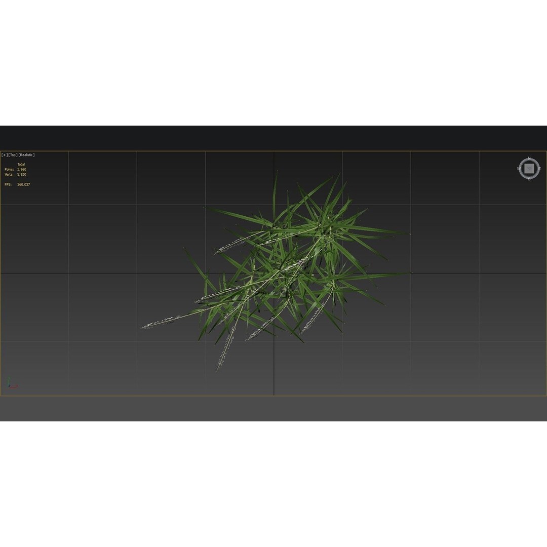 Grasses 3D Model – Low Poly Optimized Asset for Games, FBX - View 13