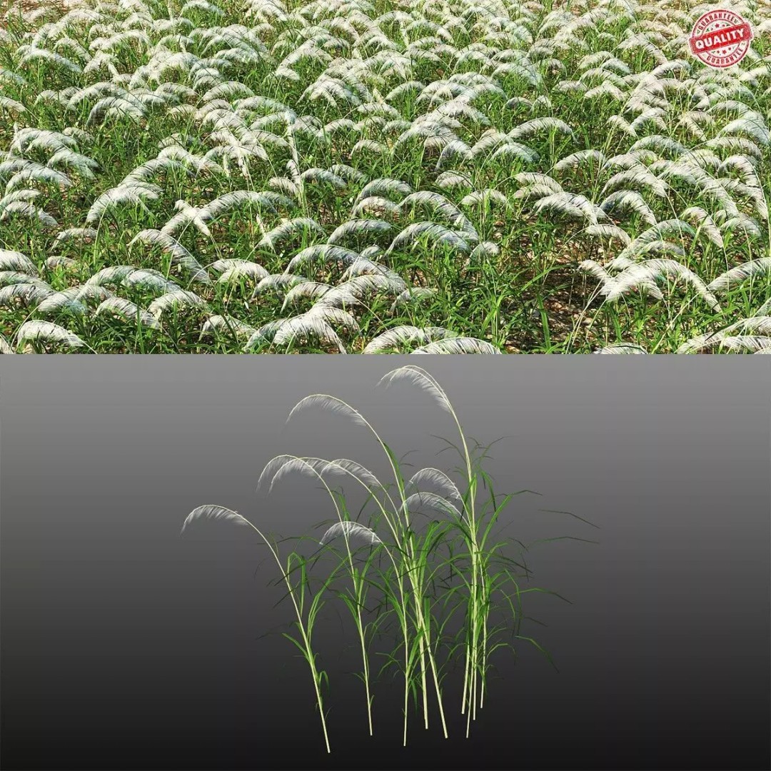 Grasses 3D Model – Low Poly Optimized Asset for Games, FBX - View 2
