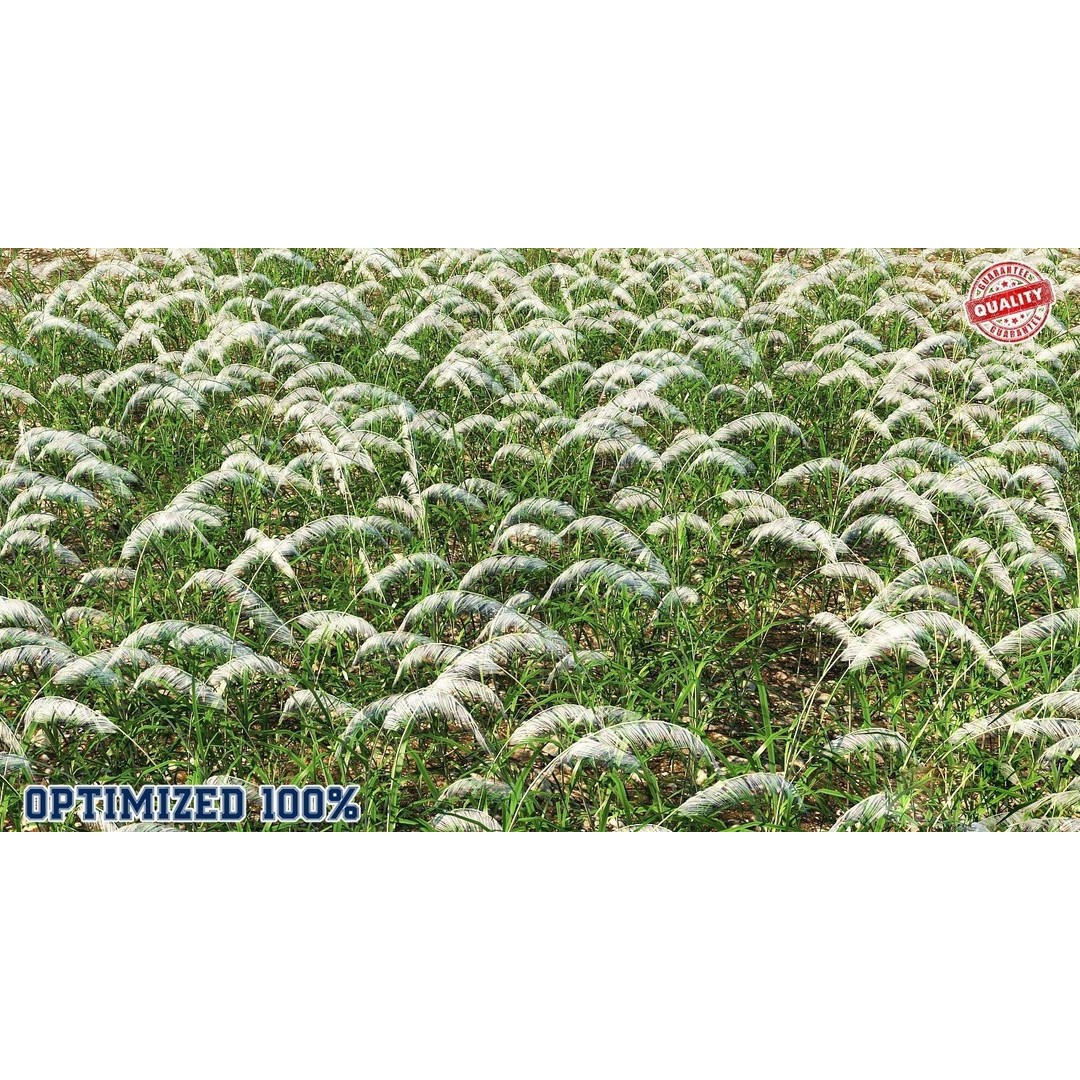 Grasses 3D Model – Low Poly Optimized Asset for Games, FBX - View 3