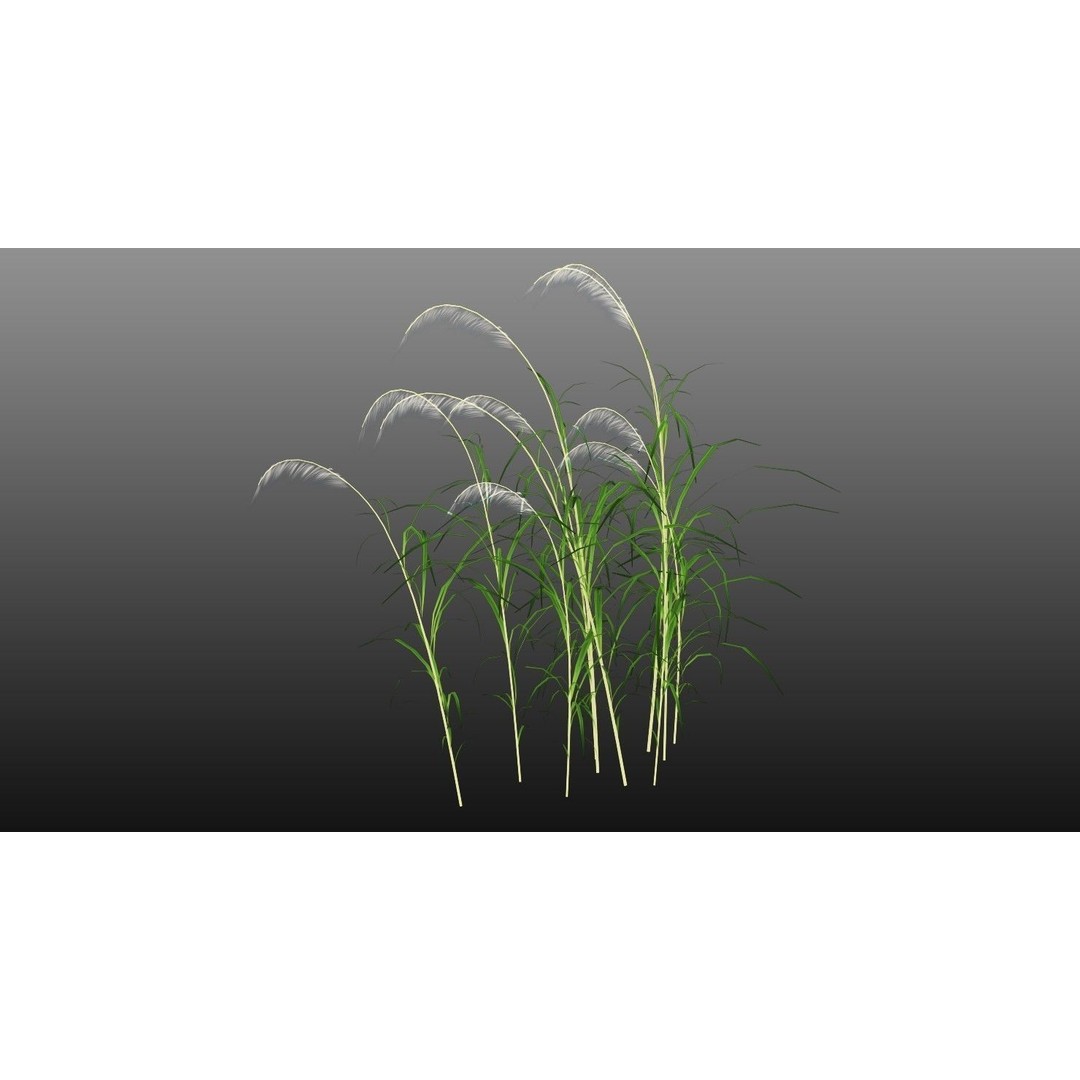 Grasses 3D Model – Low Poly Optimized Asset for Games, FBX - View 4