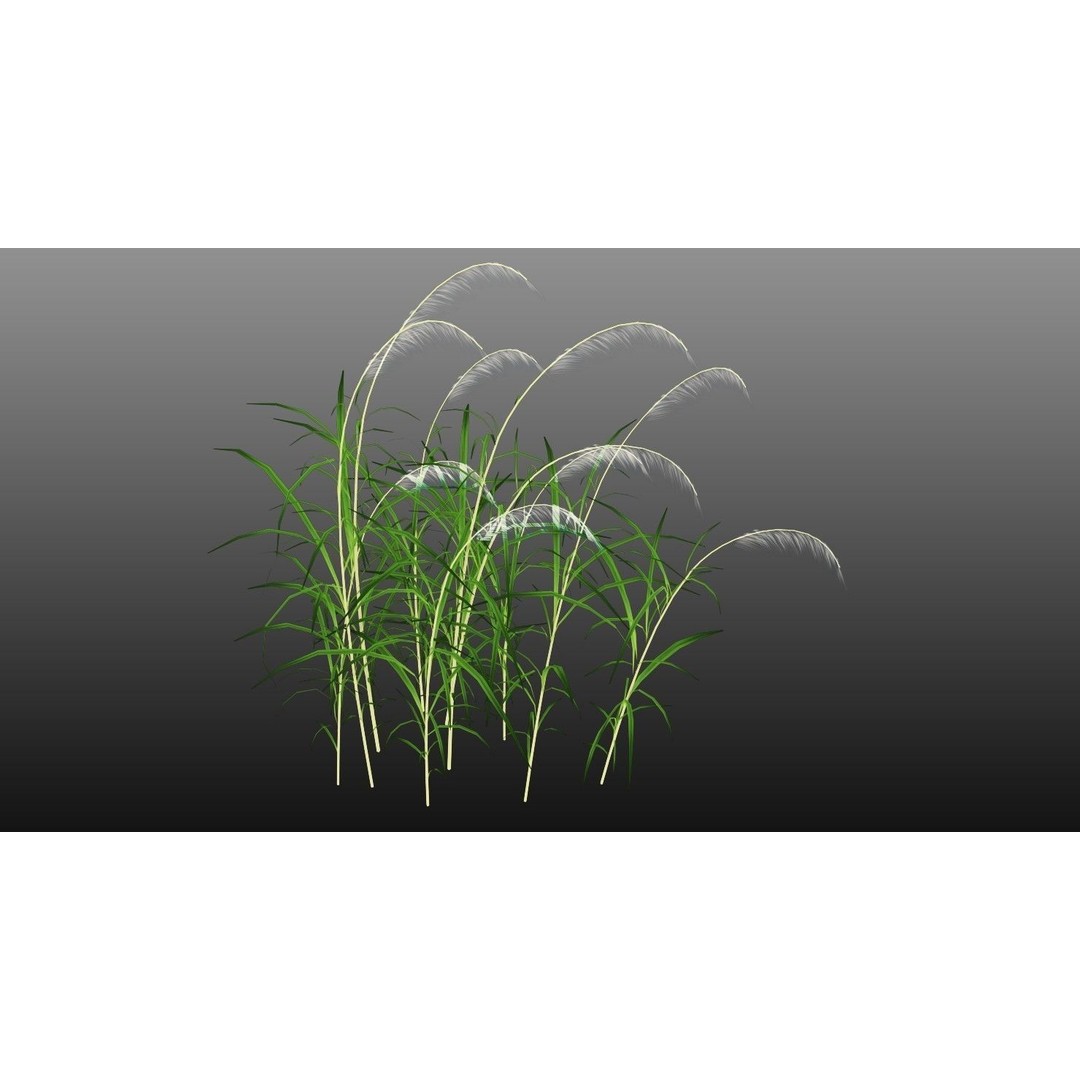 Grasses 3D Model – Low Poly Optimized Asset for Games, FBX - View 5