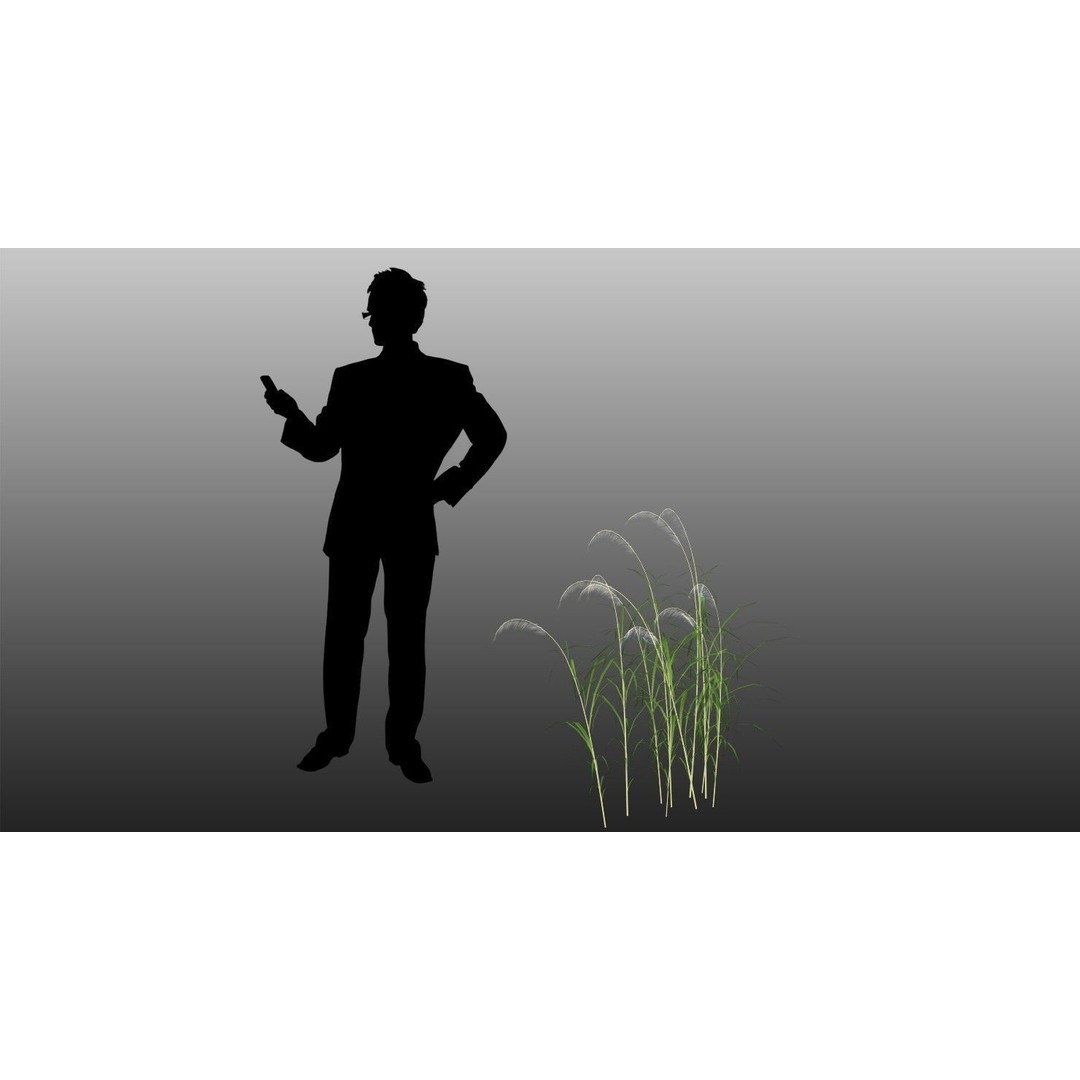 Grasses 3D Model – Low Poly Optimized Asset for Games, FBX - View 6