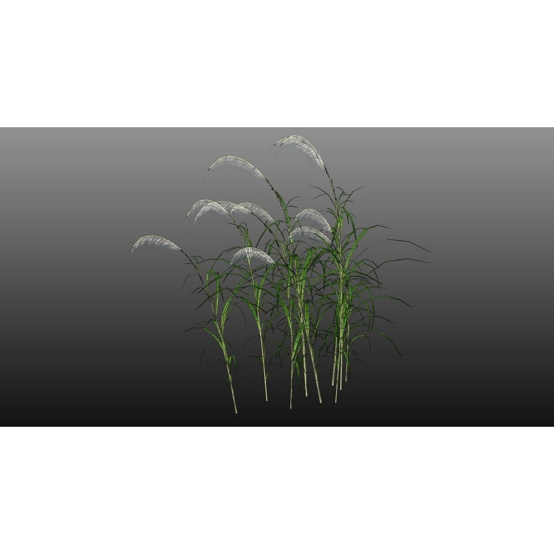 Grasses 3D Model – Low Poly Optimized Asset for Games, FBX - View 7