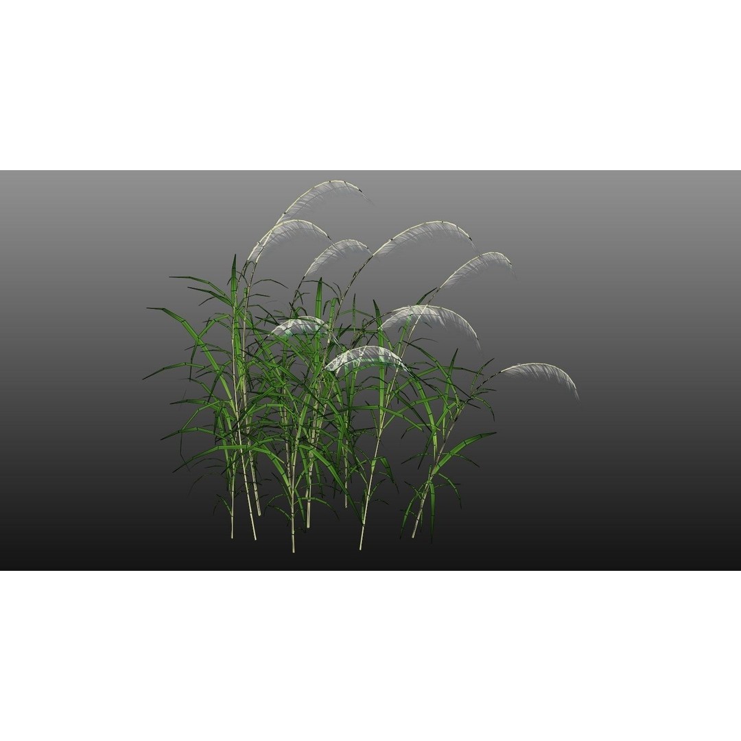 Grasses 3D Model – Low Poly Optimized Asset for Games, FBX - View 8