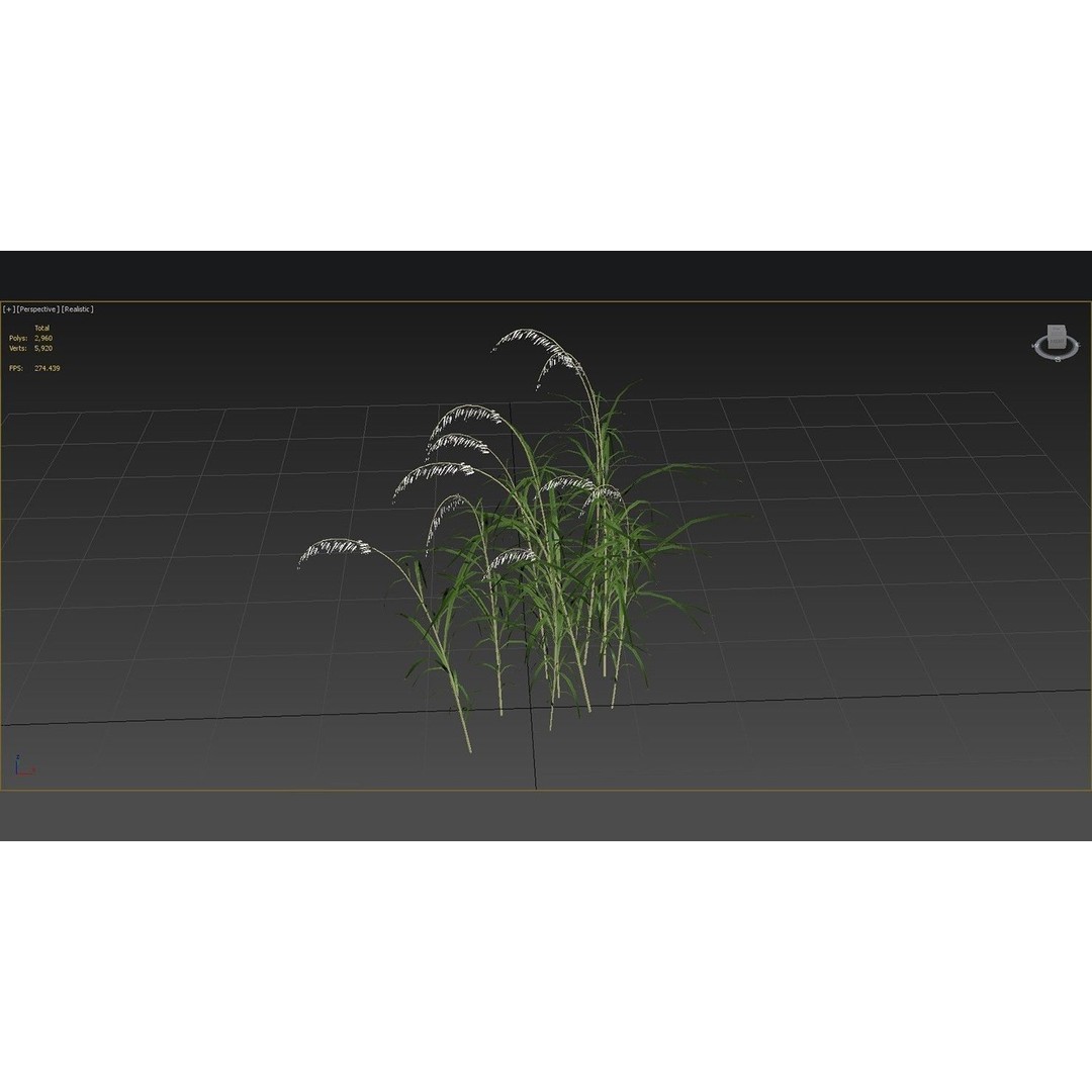 Grasses 3D Model – Low Poly Optimized Asset for Games, FBX - View 9