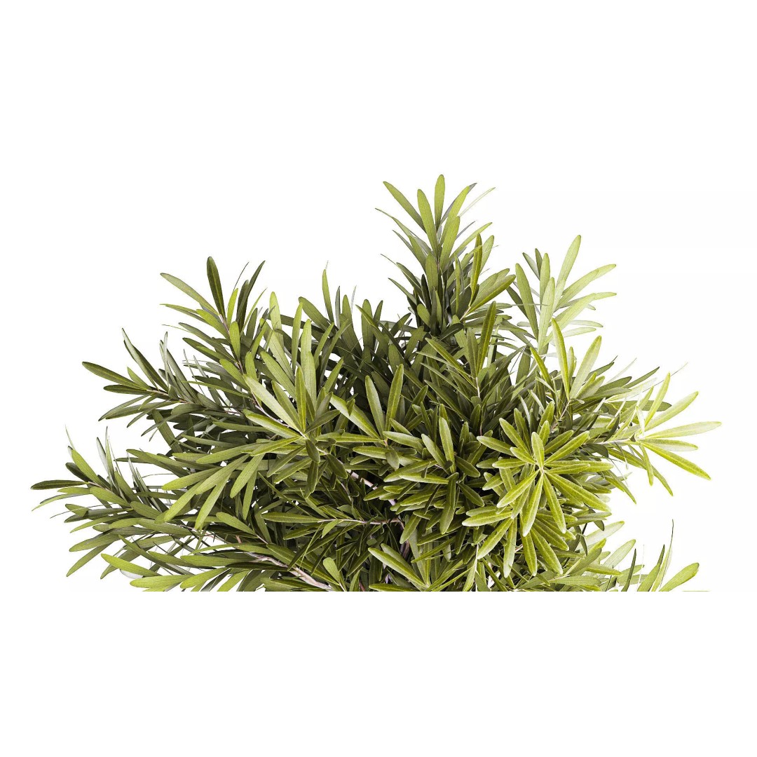 Realistic Flower Bouquet 3D Model – Decorative Greenery in Glass Vase - View 6