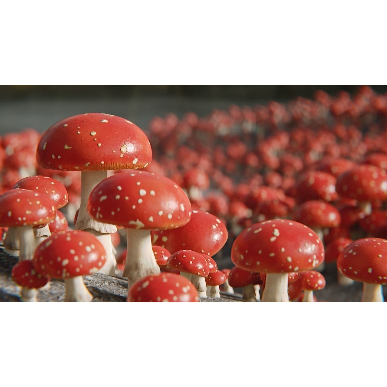 Mushrooms Fly Agaric - Animated PBR 3D Model - View 3