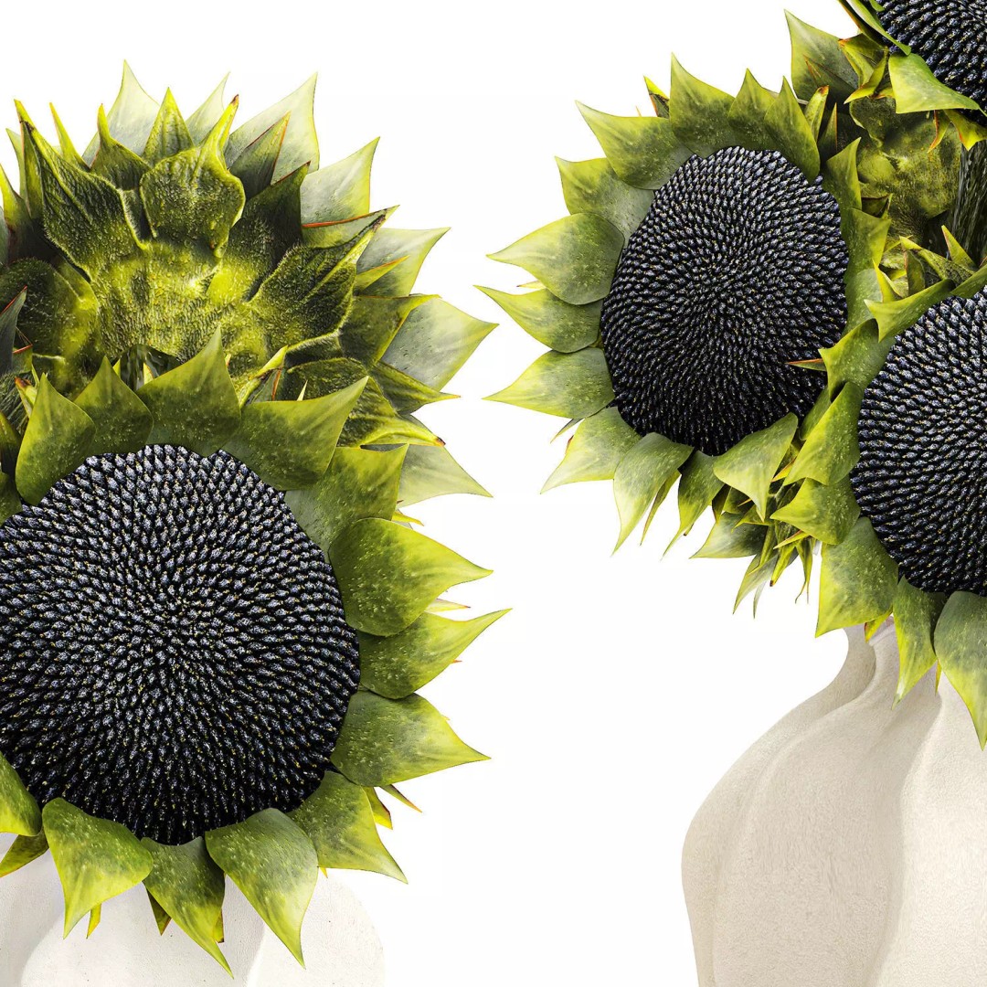 Sunflower Bouquet 3D Model – Modern Ceramic Vase Decor, FBX - View 11