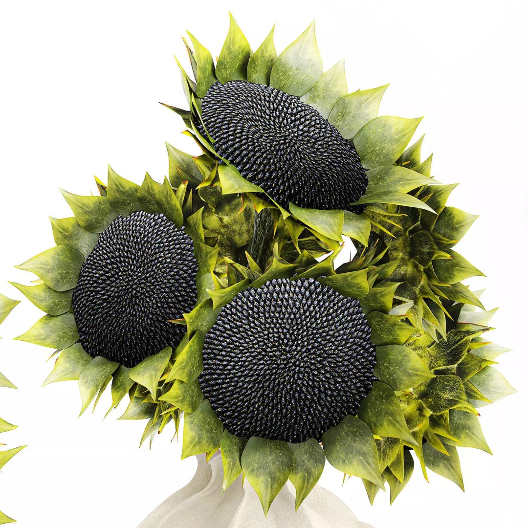 Sunflower Bouquet 3D Model – Modern Ceramic Vase Decor, FBX - View 12