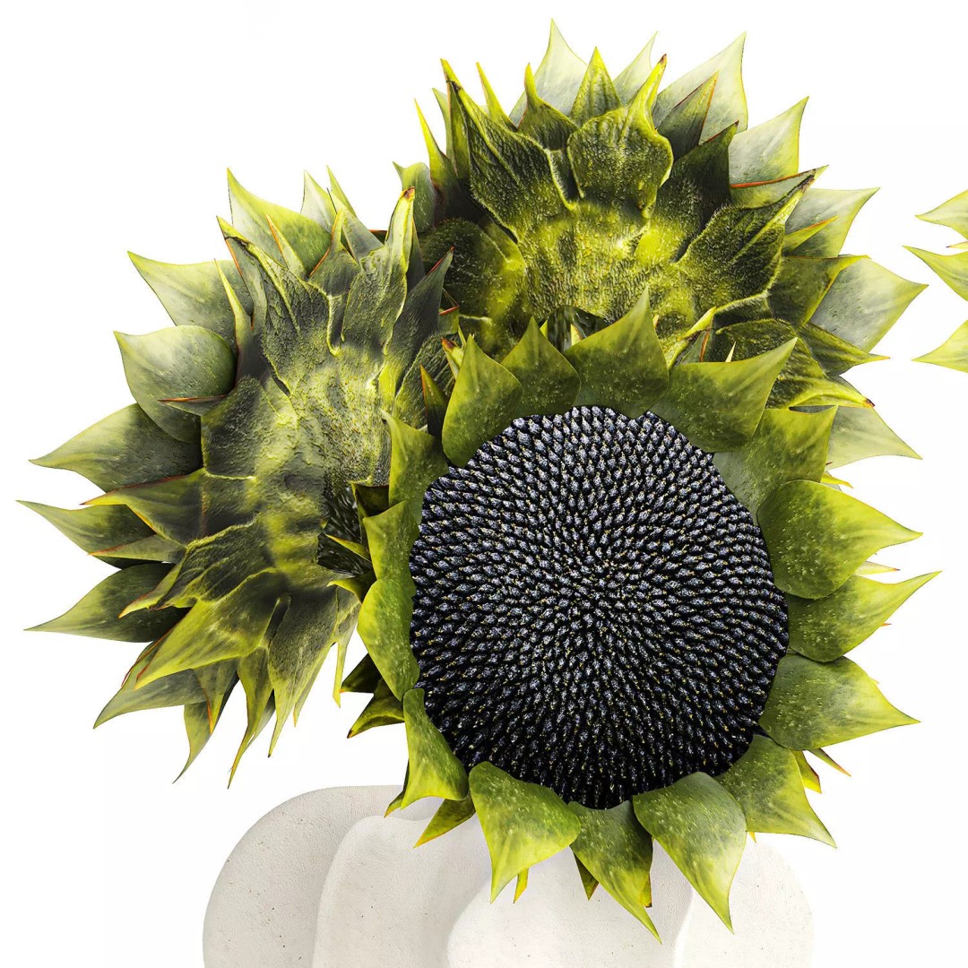 Sunflower Bouquet 3D Model – Modern Ceramic Vase Decor, FBX - View 14