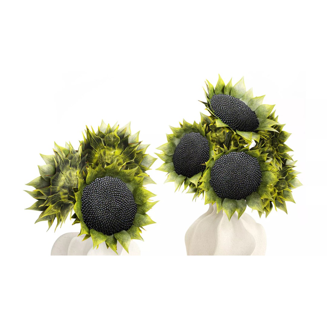 Sunflower Bouquet 3D Model – Modern Ceramic Vase Decor, FBX - View 3