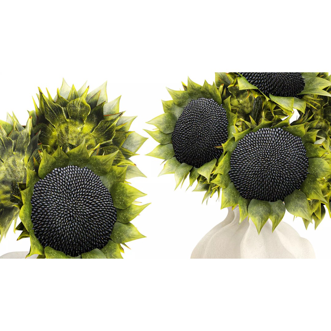 Sunflower Bouquet 3D Model – Modern Ceramic Vase Decor, FBX - View 4