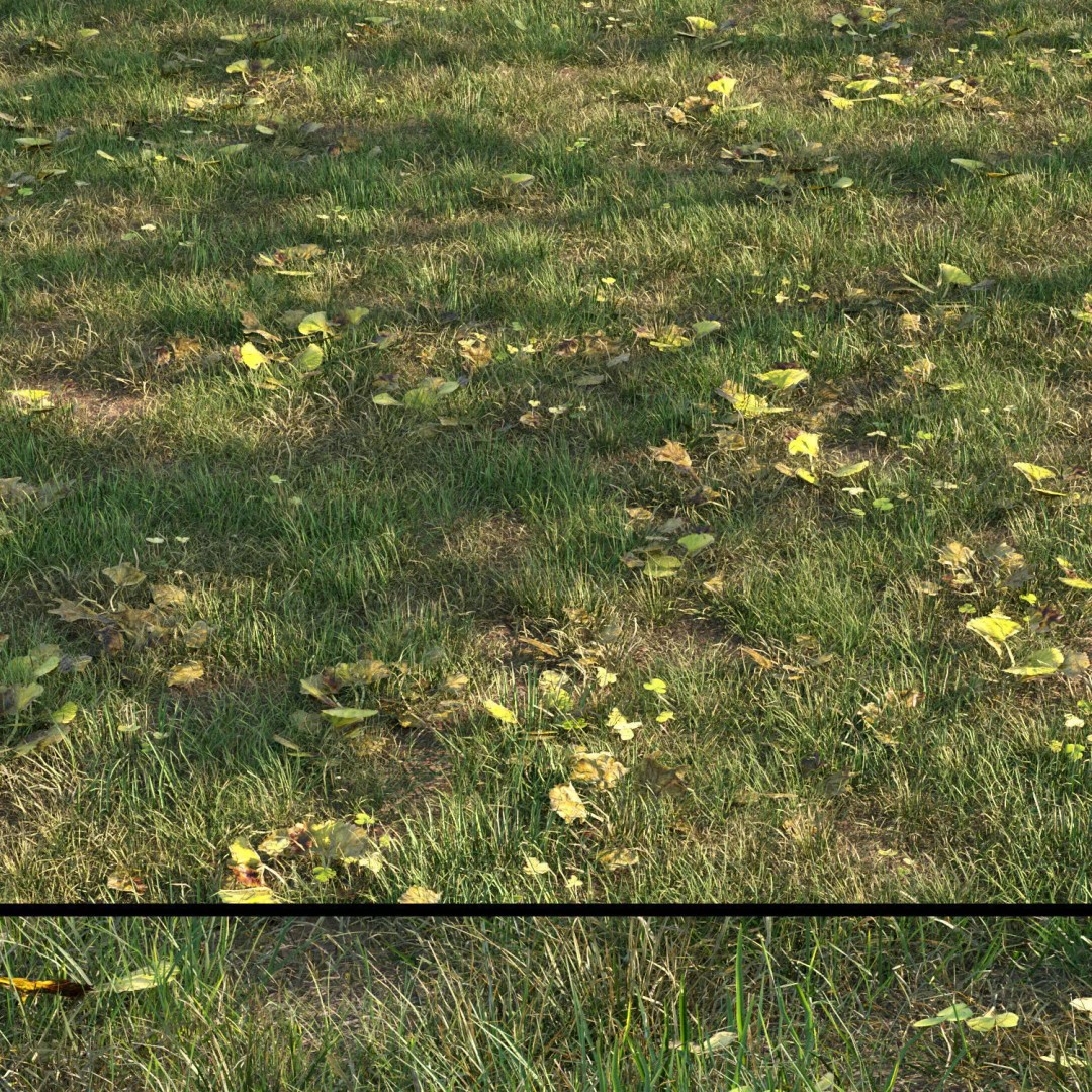 Grass 3D Model – PBR Plant Asset with Diverse Vegetation Formats - View 2