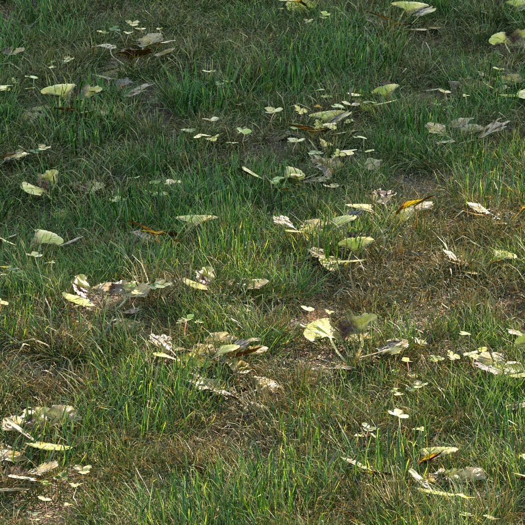 Grass 3D Model – PBR Plant Asset with Diverse Vegetation Formats - View 3