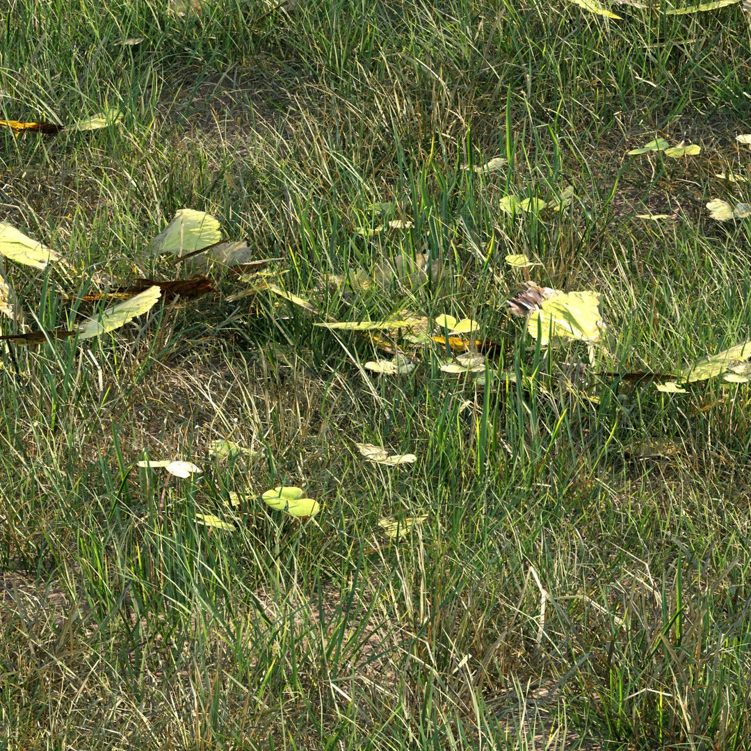 Grass 3D Model – PBR Plant Asset with Diverse Vegetation Formats - View 4