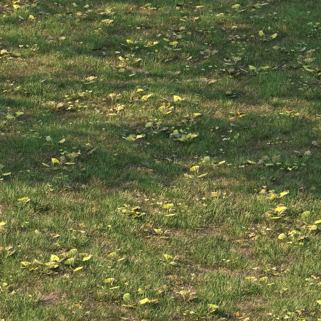 Grass 3D Model – PBR Plant Asset with Diverse Vegetation Formats - View 5