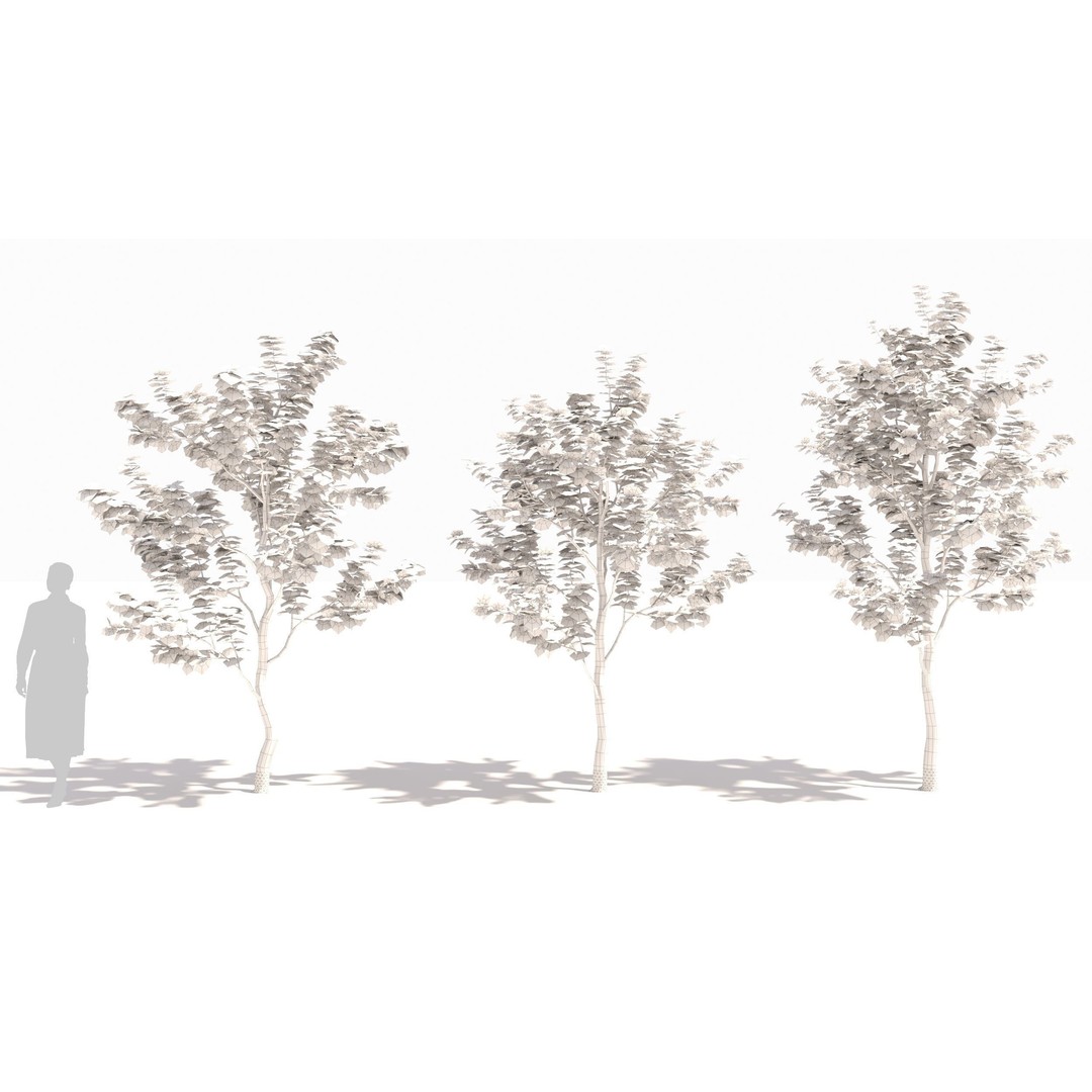 Sugar Maple Tree 3D Model – High Poly Game Asset, FBX, OBJ