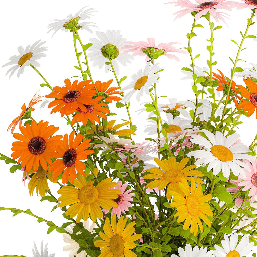 Bouquet of Wildflowers 3D Model – Modern Vase Decor, FBX, PBR - View 12