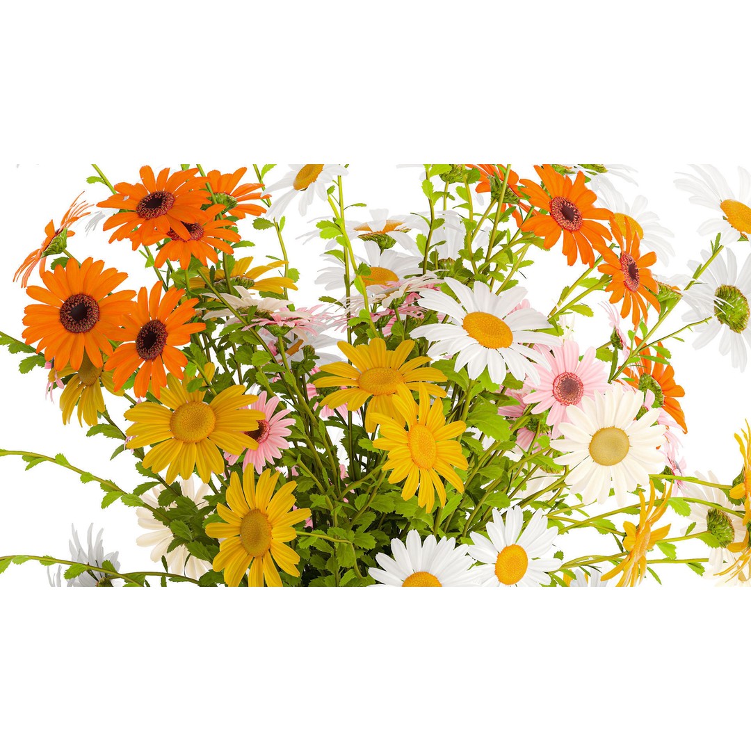 Bouquet of Wildflowers 3D Model – Modern Vase Decor, FBX, PBR - View 5