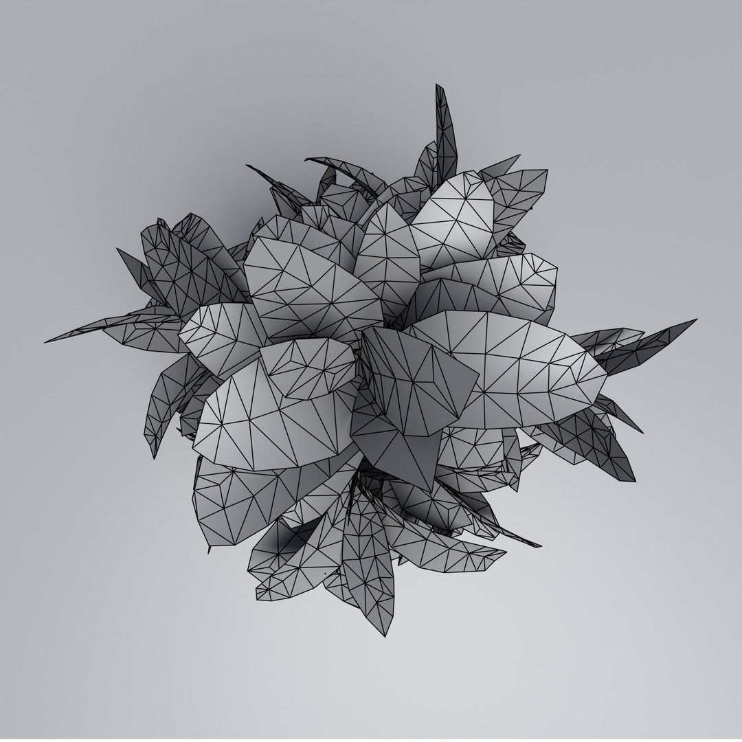 Codiaeum Variegatum 3D Model – Low Poly PBR Plant for Archviz