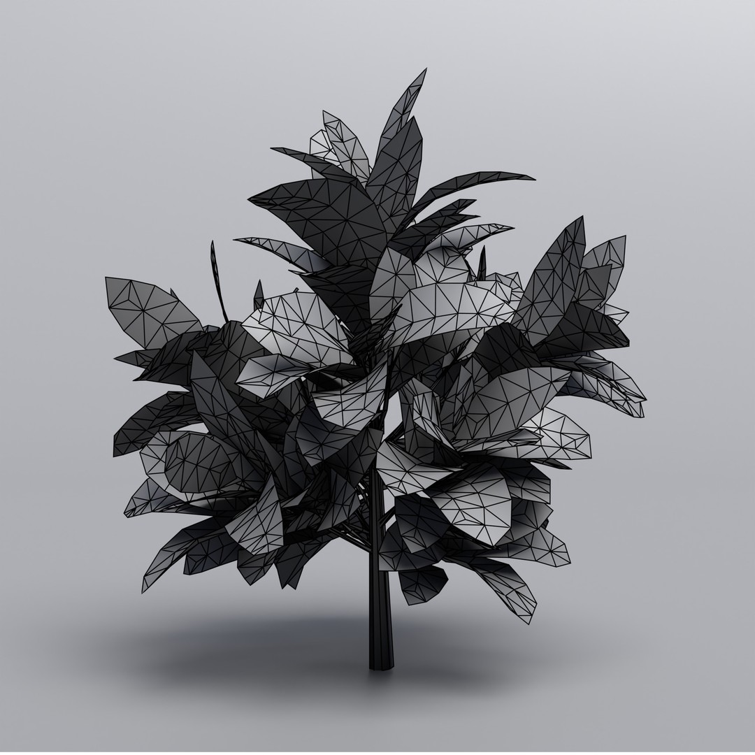 Codiaeum Variegatum 3D Model – Low Poly PBR Plant for Archviz - View 11