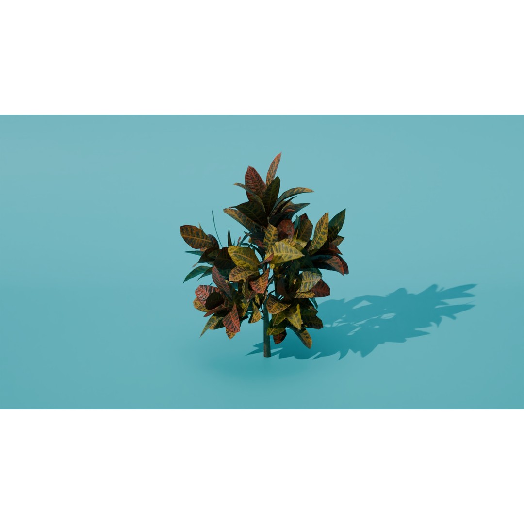 Codiaeum Variegatum 3D Model – Low Poly PBR Plant for Archviz - View 7