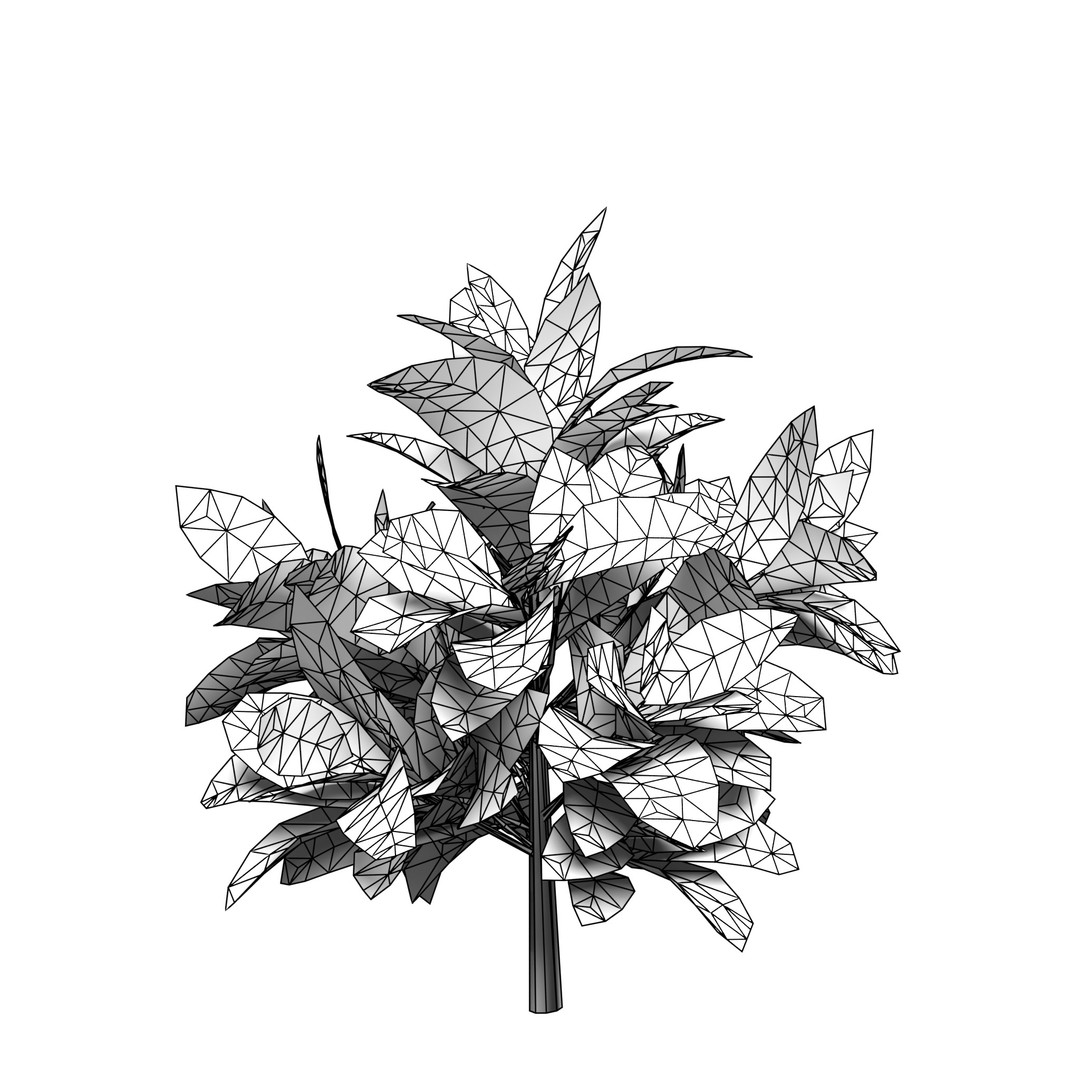 Codiaeum Variegatum 3D Model – Low Poly PBR Plant for Archviz - View 9