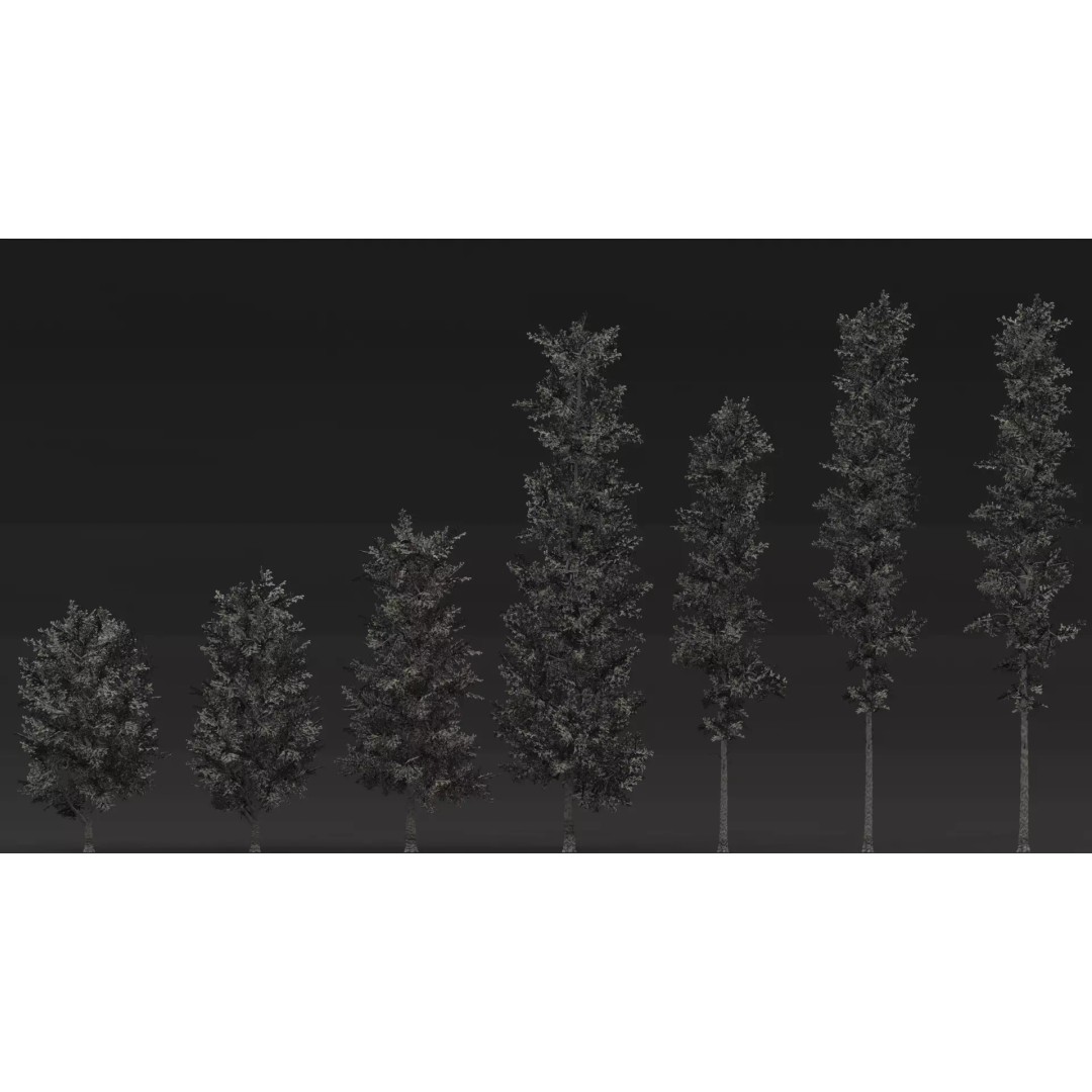 Realistic Birch Tree Pack 3D Model – Low Poly Game Asset, FBX - View 10