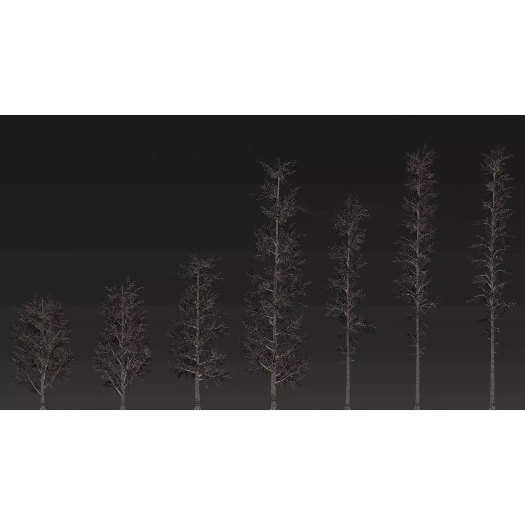 Realistic Birch Tree Pack 3D Model – Low Poly Game Asset, FBX - View 11